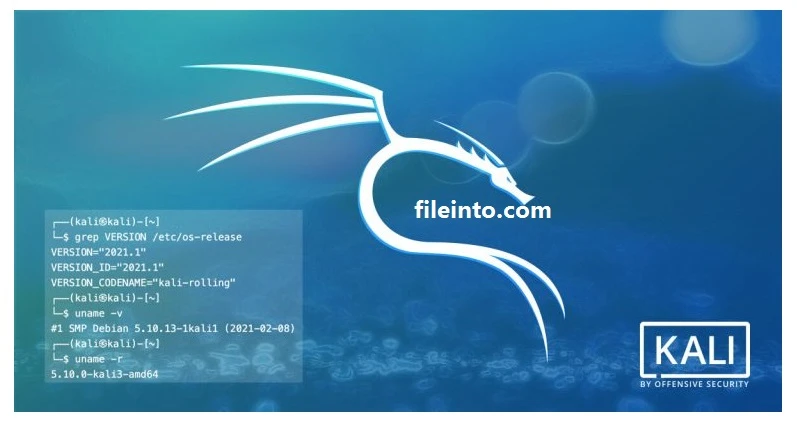 Download kali linux iso